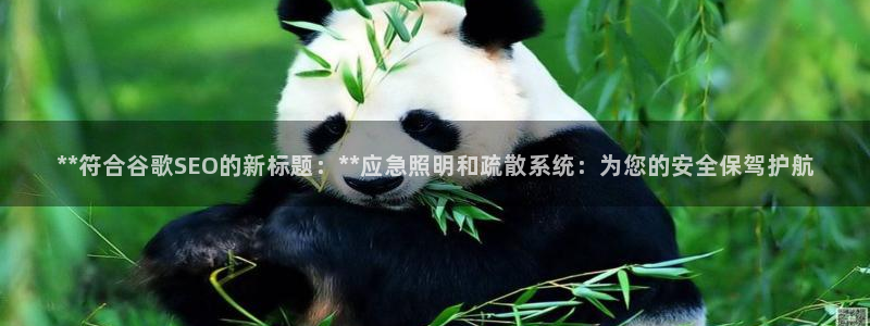 **符合谷歌SEO的新标题:**应急照明和疏散系统:为您的安全保驾护航