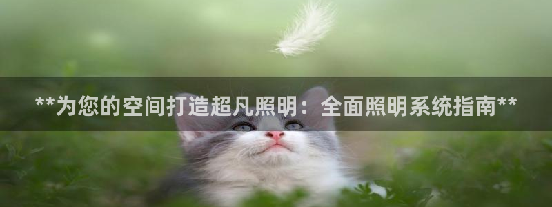 **为您的空间打造超凡照明：全面照明系统指南**