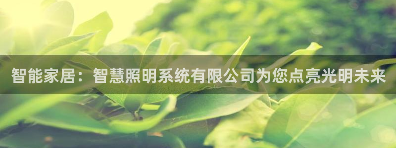 智能家居:智慧照明系统有限公司为您点亮光明未来