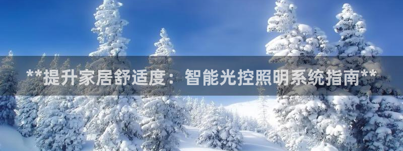**提升家居舒适度：智能光控照明系统指南**