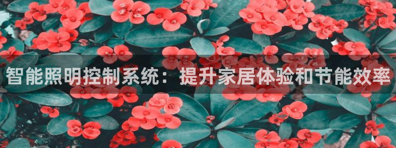 智能照明控制系统：提升家居体验和节能效率