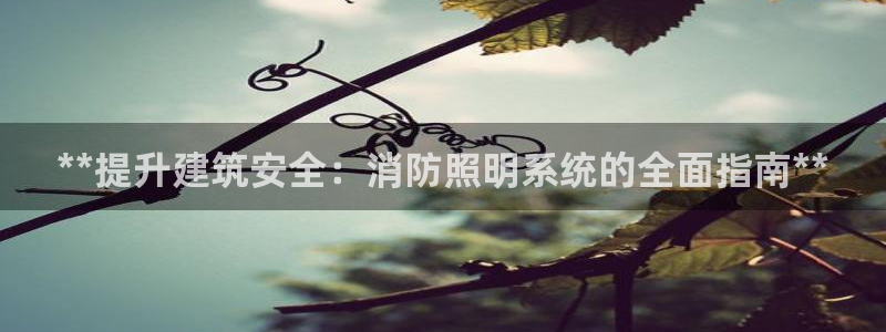 **提升建筑安全：消防照明系统的全面指南**