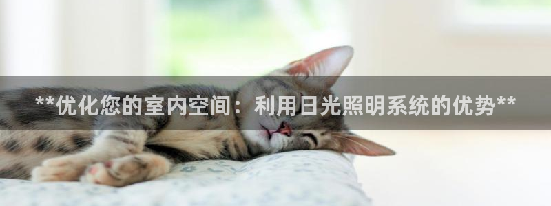 **优化您的室内空间:利用日光照明系统的优势**