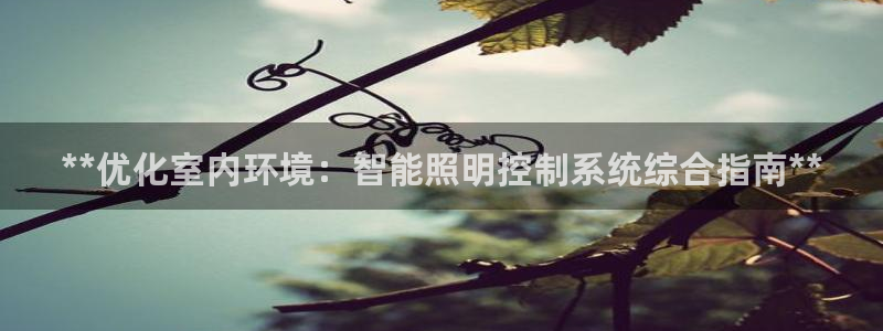 **优化室内环境：智能照明控制系统综合指南**