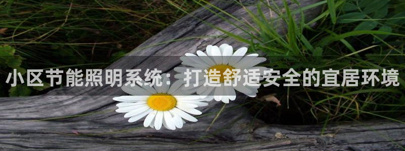 小区节能照明系统：打造舒适安全的宜居环境