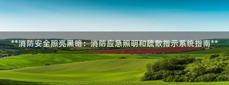 **消防安全照亮黑暗：消防应急照明和疏散指示系统指南**
