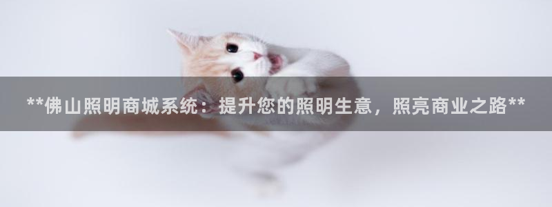 **佛山照明商城系统：提升您的照明生意，照亮商业之路**