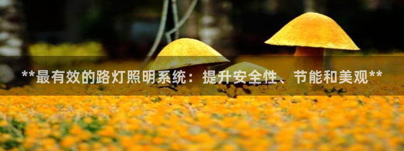 **最有效的路灯照明系统:提升安全性、节能和美观**