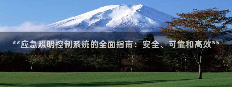 **应急照明控制系统的全面指南：安全、可靠和高效**