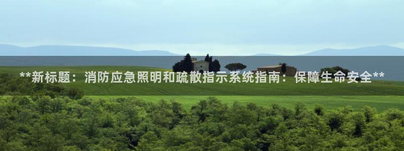 **新标题：消防应急照明和疏散指示系统指南：保障生命安全**
