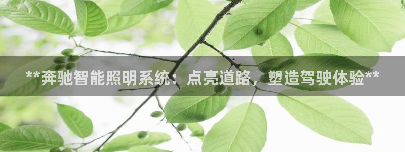 **奔驰智能照明系统：点亮道路，塑造驾驶体验**