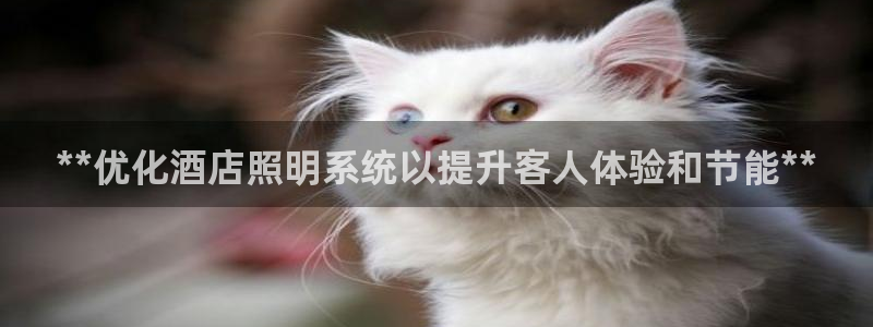 **优化酒店照明系统以提升客人体验和节能**