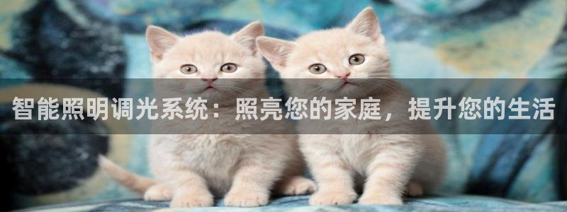 智能照明调光系统：照亮您的家庭，提升您的生活