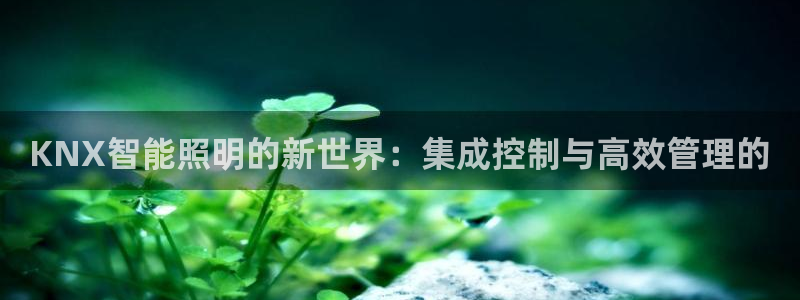 KNX智能照明的新世界:集成控制与高效管理的