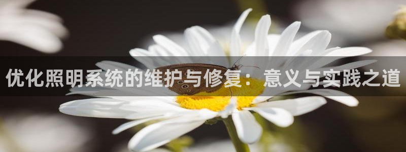 优化照明系统的维护与修复：意义与实践之道
