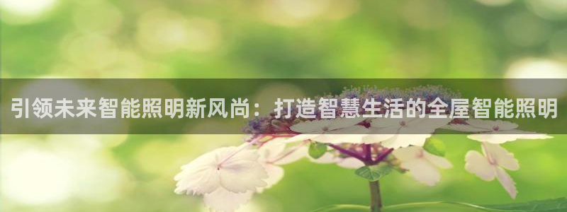 引领未来智能照明新风尚：打造智慧生活的全