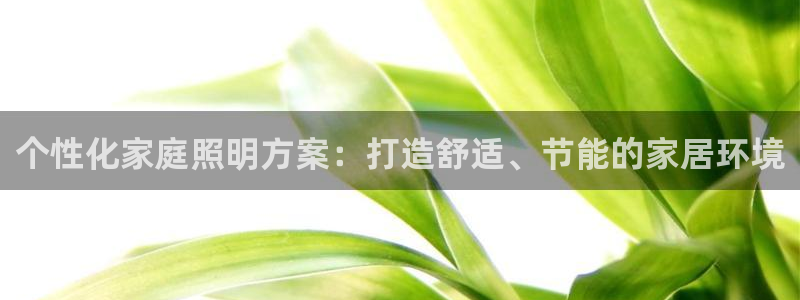 个性化家庭照明方案：打造舒适、节能的家居