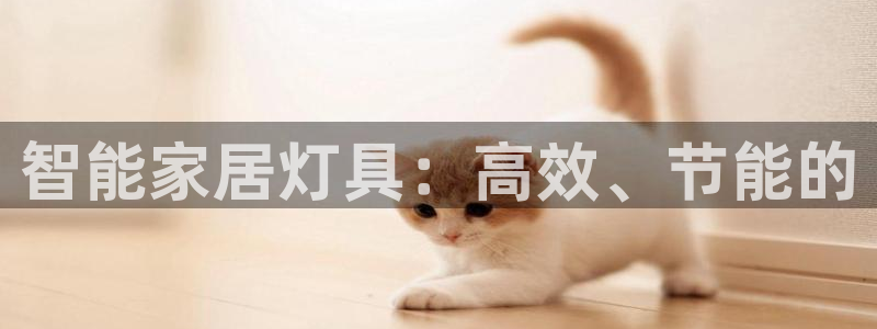 智能家居灯具：高效、节能的