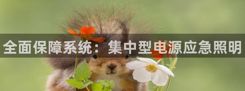 全面保障系统：集中型电源应急照明