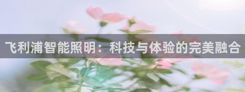 飞利浦智能照明:科技与体验的完美融合