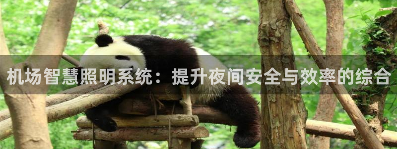 机场智慧照明系统：提升夜间安全与效率的综合