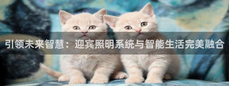 引领未来智慧：迎宾照明系统与智能生活完美融合