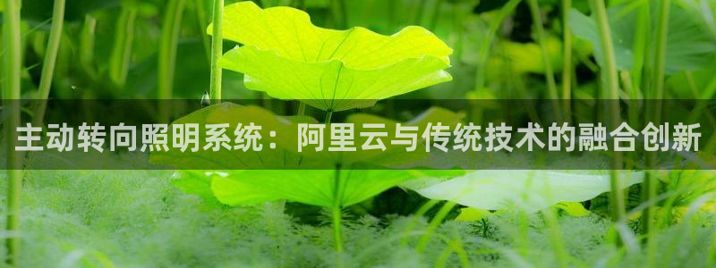 主动转向照明系统：阿里云与传统技术的融合