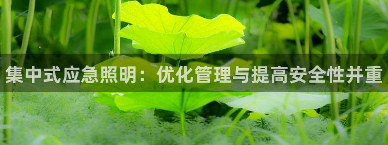 集中式应急照明：优化管理与提高安全性并重