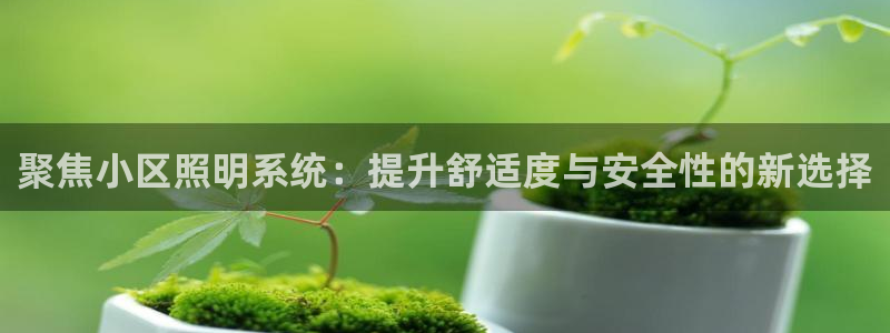 聚焦小区照明系统：提升舒适度与安全性的新