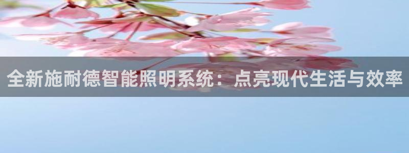全新施耐德智能照明系统：点亮现代生活与效率