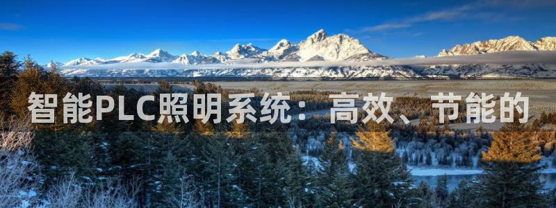 智能PLC照明系统：高效、节能的