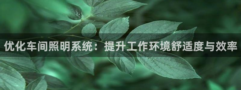 优化车间照明系统：提升工作环境舒适度与效率